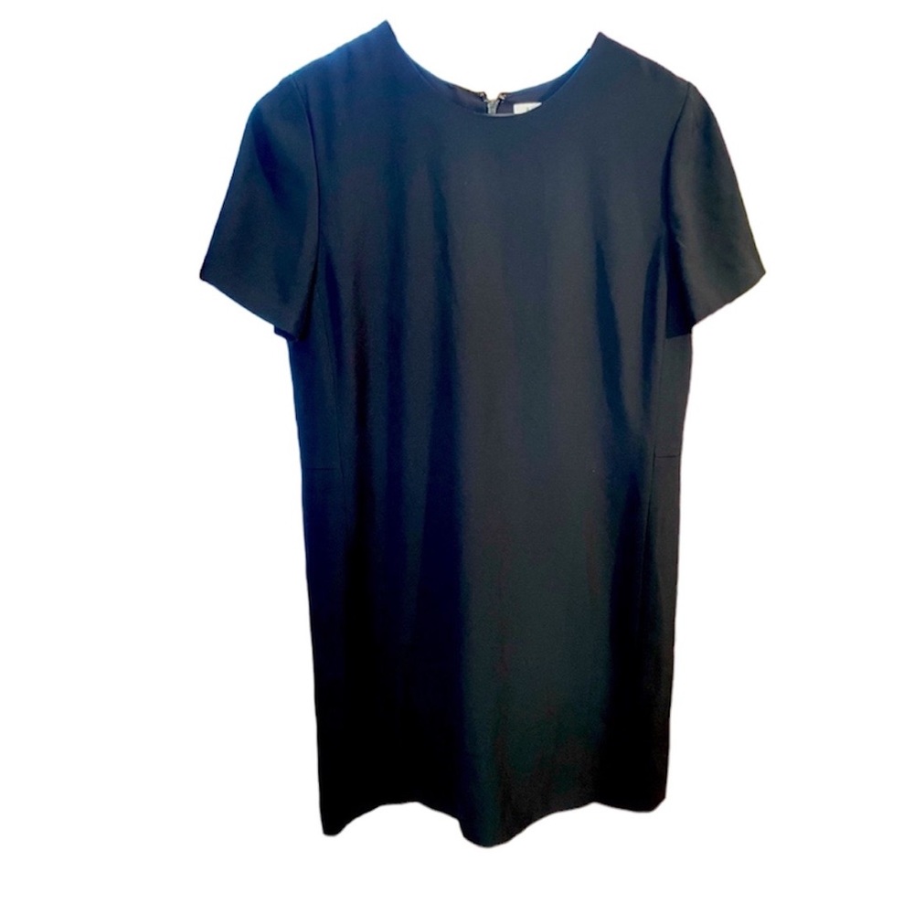 Aritzia Black Dress, by Babaton, beautiful for many occasions.